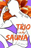 Trio in the Sauna: Short Story Erotic Romance (Naughty Charm, #4) (eBook, ePUB)