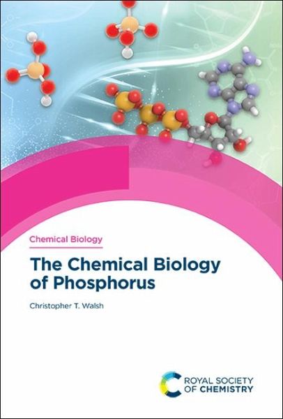 Chemical Biology of Phosphorus (eBook, PDF)