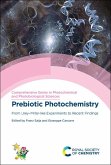 Prebiotic Photochemistry (eBook, PDF)