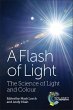 A Flash of Light (eBook, PDF) - Bild 1