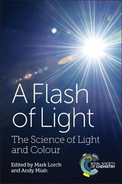 A Flash of Light (eBook, PDF)