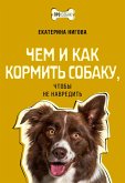 Чем и как кормить собаку, чтобы не навредить (eBook, ePUB)