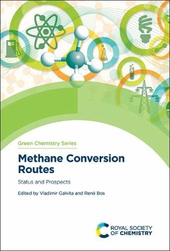 Methane Conversion Routes (eBook, PDF)