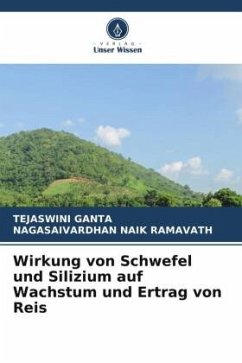 Wirkung von Schwefel und Silizium auf Wachstum und Ertrag von Reis - GANTA, TEJASWINI;Ramavath, Nagasaivardhan Naik