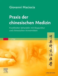 Praxis der chinesischen Medizin - Maciocia, Giovanni