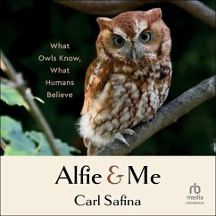 Alfie and Me - Safina, Carl