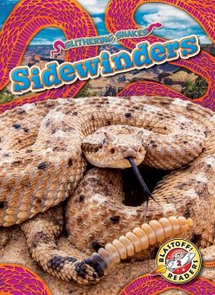 Sidewinders - Mattern, Joanne