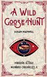A Wild Goose Hunt - Bild 1