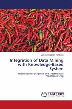 Integration of Data Mining with Knowledge-Based System - Fentahun, Melsew Belachew