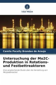 Untersuchung der Mo2C-Produktion in Rotations- und Festbettreaktoren - Brandão de Araújo, Camila Pacelly