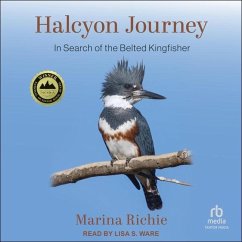 Halcyon Journey - Richie, Marina