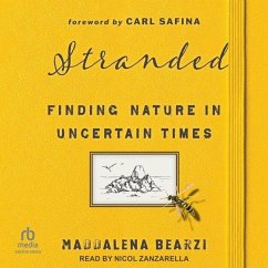 Stranded - Bearzi, Maddalena