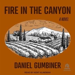Fire in the Canyon - Gumbiner, Daniel