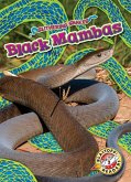 Black Mambas