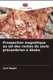 Prospection magnétique au sol des roches du socle précambrien à Akoko