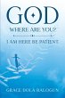 GOD WHERE ARE YOU? - Bild 1