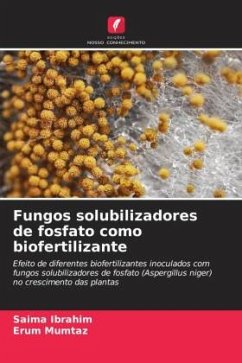 Fungos solubilizadores de fosfato como biofertilizante - Ibrahim, Saima;Mumtaz, Erum