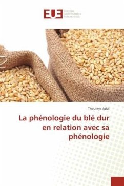 La phénologie du blé dur en relation avec sa phénologie - Azizi, Thouraya