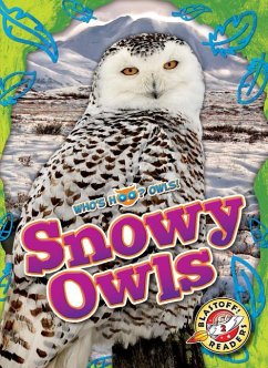 Snowy Owls - Barnes, Rachael