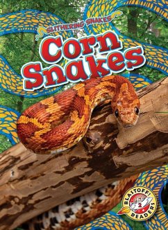 Corn Snakes - Mattern, Joanne