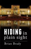 hiding in plain sight (eBook, ePUB)