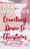Counting Down to Christmas (Draper Falls Christmas Romance, #1) (eBook, ePUB)