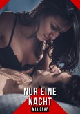 Nur eine Nacht (eBook, ePUB)