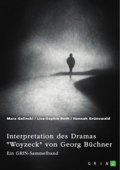 Interpretation des Dramas &quote;Woyzeck&quote; von Georg Büchner. Verschiedene Ansätze (eBook, PDF)