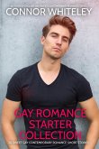 Gay Romance Starter Collection: 20 Sweet Gay Contemporary Romance Short Stories (The English Gay Sweet Contemporary Romance Stories, #0) (eBook, ePUB)