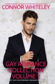 Gay Romance Collection Volume 2: 3 Sweet Gay Contemporary Romance Novellas (The English Gay Contemporary Romance Books) (eBook, ePUB)
