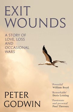 Exit Wounds (eBook, ePUB) - Godwin, Peter