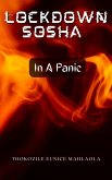In A Panic (Lockdown Sosha, #2) (eBook, ePUB)