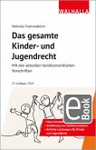 Das gesamte Kinder- und Jugendrecht (eBook, PDF)