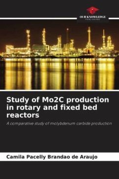 Study of Mo2C production in rotary and fixed bed reactors - Brandão de Araújo, Camila Pacelly