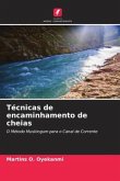 Técnicas de encaminhamento de cheias