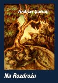 Na Rozdrozu - Polish Edition, po polsku (eBook, ePUB)