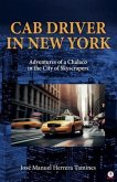 Cab Driver In New York (eBook, ePUB)