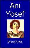 Ani Yosef (eBook, ePUB)