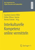 Interkulturelle Kompetenz online vermitteln (eBook, PDF)