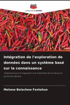 Intégration de l'exploration de données dans un système basé sur la connaissance - Fentahun, Melsew Belachew