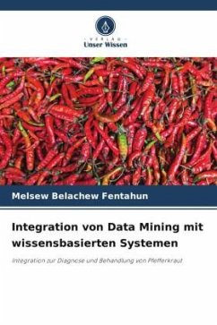 Integration von Data Mining mit wissensbasierten Systemen - Fentahun, Melsew Belachew