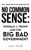 No Common Sense: (eBook, ePUB)