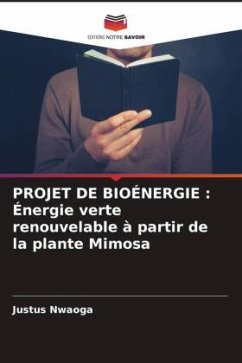 PROJET DE BIOÉNERGIE : Énergie verte renouvelable à partir de la plante Mimosa - Nwaoga, Justus