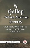 A Gallop Among American Scenery Or, Sketches Of American Scenes And Military Adventure