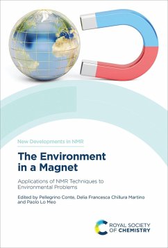 Cover Environment in a Magnet (eBook, ePUB)