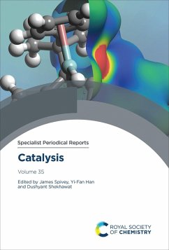 Catalysis (eBook, ePUB)