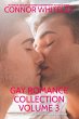 Gay Romance Collection Volume 3: 3... - Bild 1