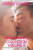 Gay Romance Collection Volume 3: 3 Sweet Gay Contemporary Romance Novellas (The English Gay Contemporary Romance Books) (eBook, ePUB)