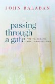 Passing through a Gate (eBook, ePUB)