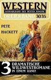 Western Dreierband 3035 (eBook, ePUB)